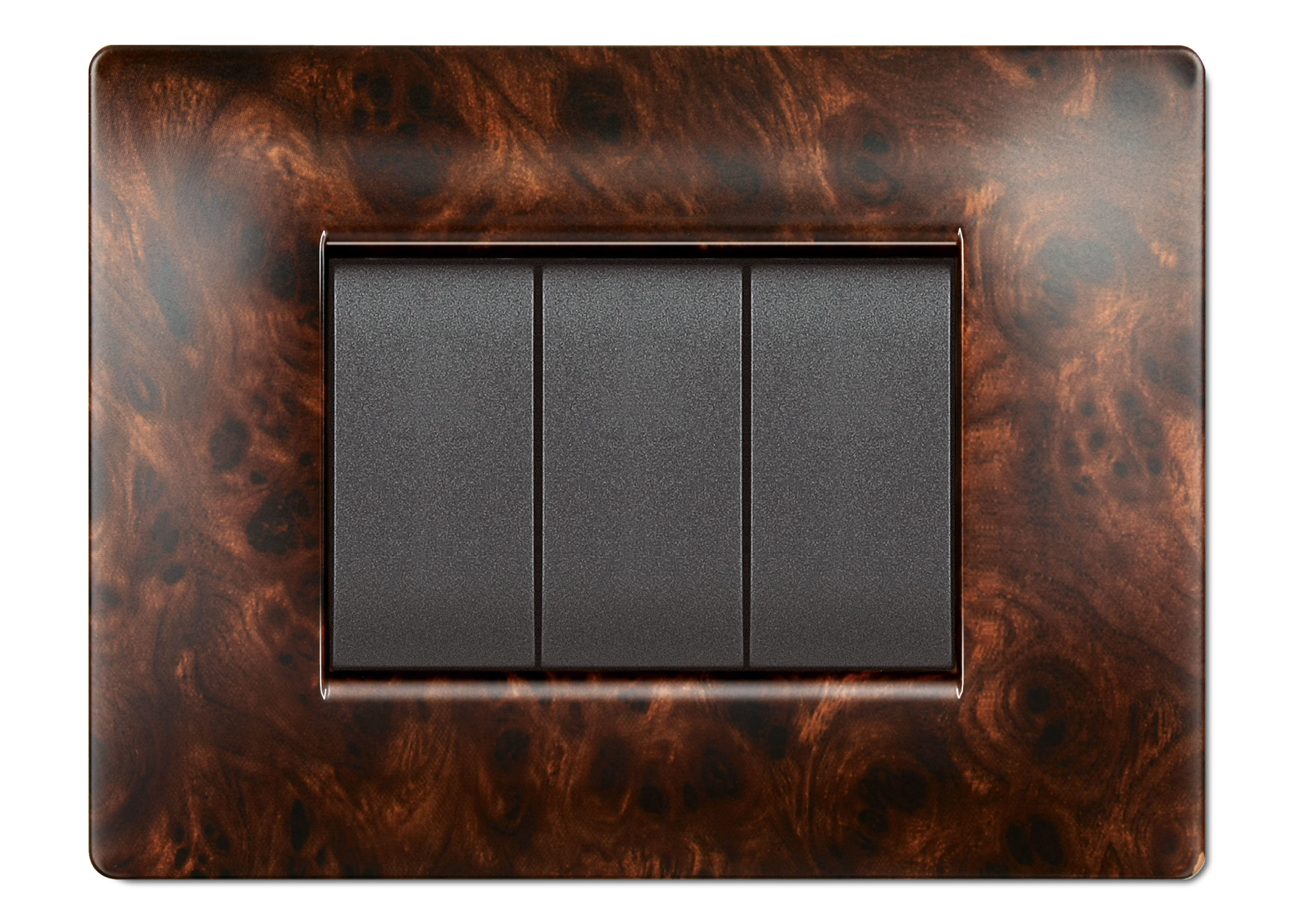 RAMA 3 MODULE MY LIFE Q RADICA-RĂDĂCINĂ ELETTROCANALI