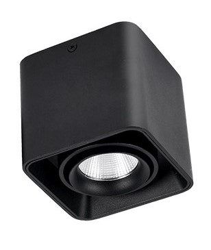 SPOT LED EXT. NEGRU 15W/100A/865L 6500K FUCIDA