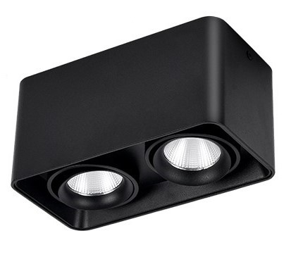 SPOT LED EXT. NEGRU 2X10W/195A/840L 4000K FUCIDA