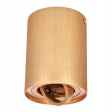 Spot pe tavan aparent rotund auriu GU10 IP20